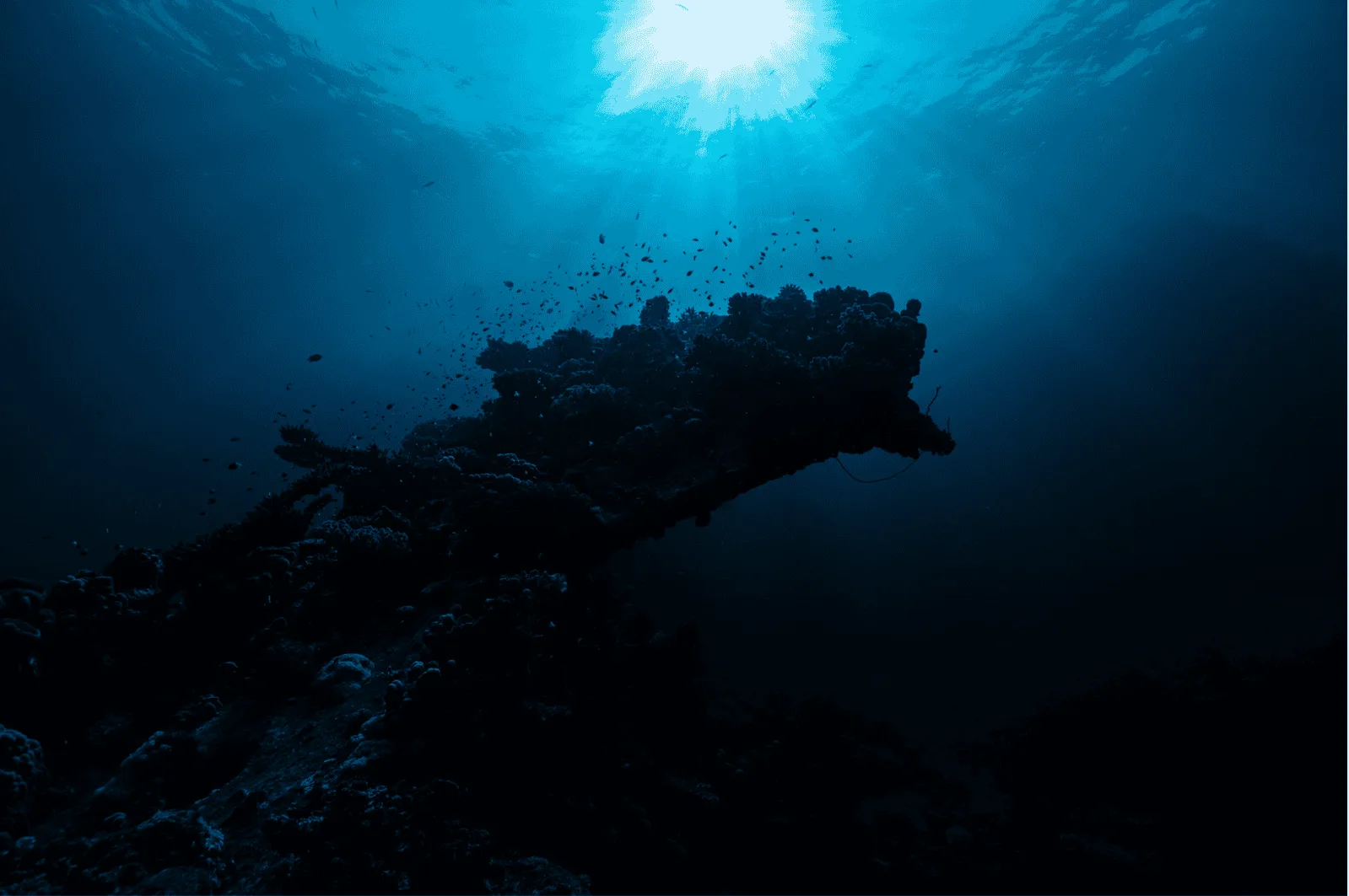 Rocky reef silhouetted beneath sunlight in deep blue water